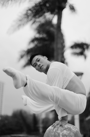 達人秀倒立舞者、柔術達人